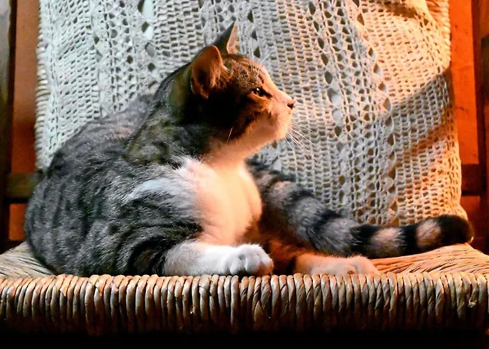 בית חווה Casal Da Serra פנייה גרסיה