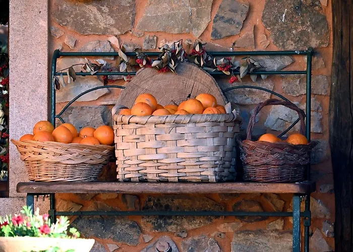 Casal Da Serra בית חווה פנייה גרסיה