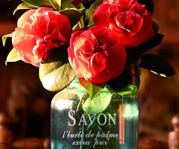 Agroturismo Casal Da Serra *